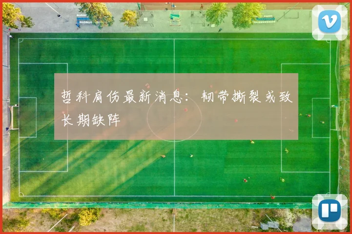 哲科肩伤最新消息:韧带撕裂或致长期缺阵
